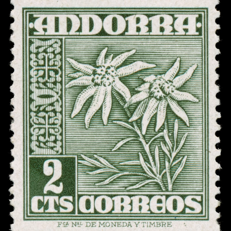 1948 - 1953